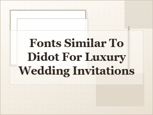 Elegant Thin Serifs Like Didot for Luxury Wedding Invitations