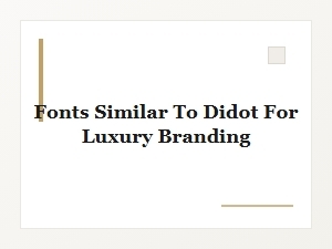 Elegant High-Contrast Serifs Like Didot for Luxury Brands
