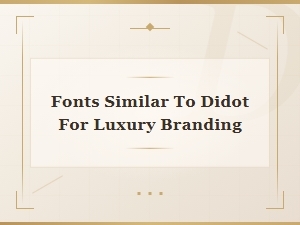 Elegant Modern Serifs for Luxury Branding